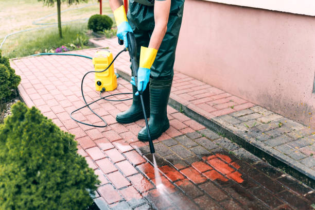 Best Gutter Cleaning  in Lenwood, CA