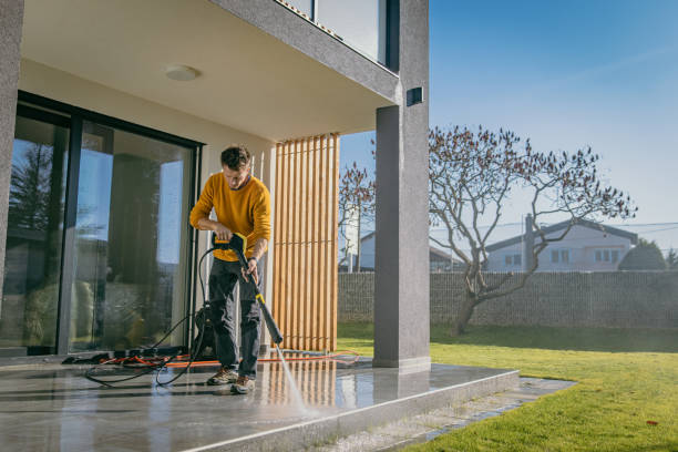 Best Solar Panel Cleaning  in Lenwood, CA
